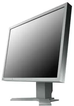 Monitor second hand Eizo S2100, 21″ Grad -A